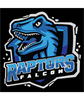 Falcon Raptors logo
